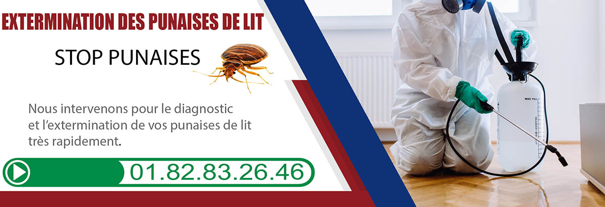 Punaises de Lit Bouffemont 95570